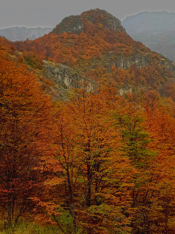 하태수-El chalen SantaCrus.Arggeeentina.-9.jpg