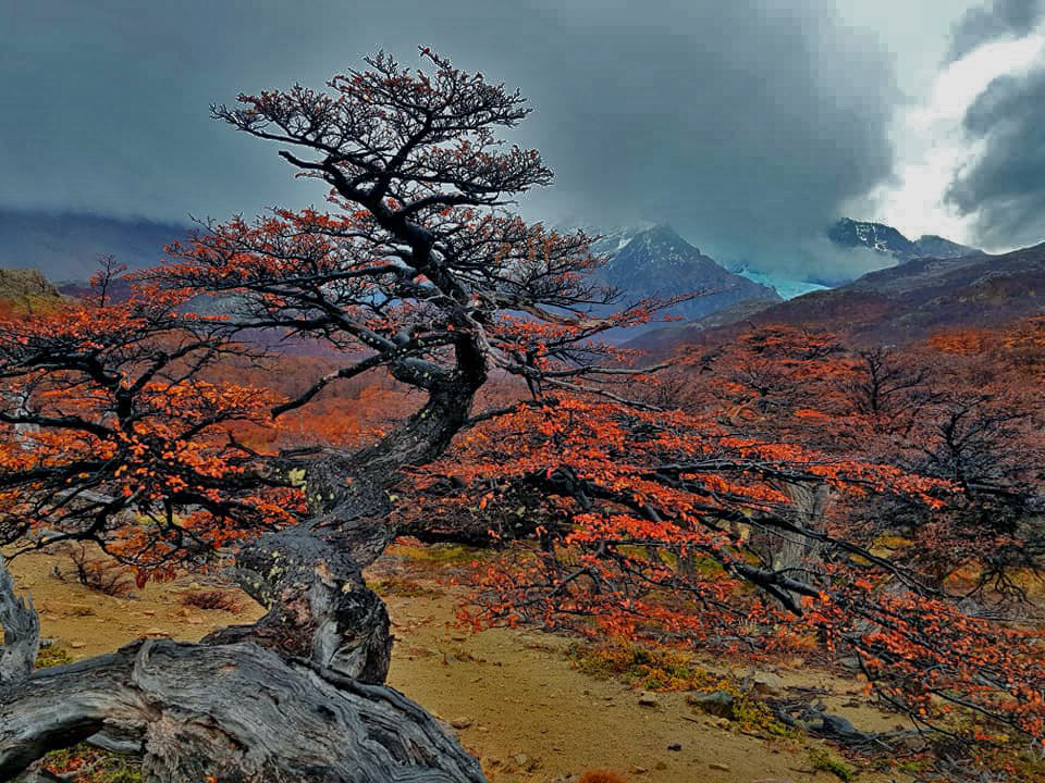 하태수-El chalen SantaCrus.Arggeeentina.-2.jpg