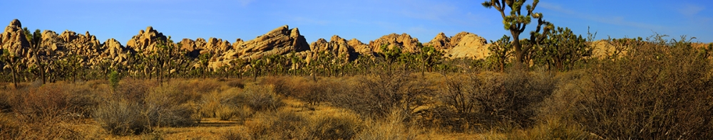 Joshua Tree National Park.jpg